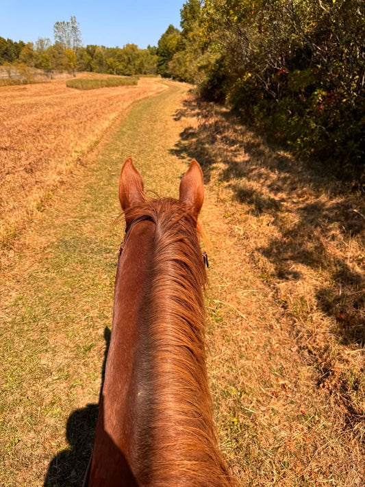 Pre-Ride Spring Checklist By Nicole Shoup Horsemanship