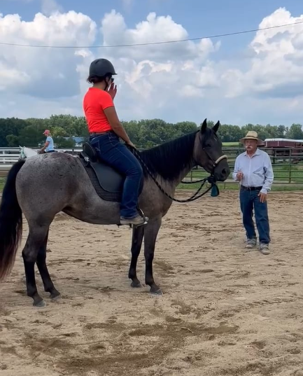 Horsemanship Principles By Nicole Shoup Horsemanship