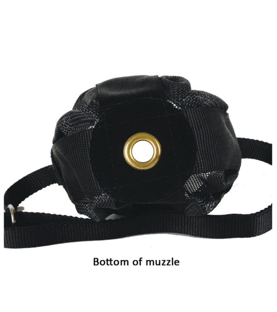 Foal/Mini Muzzle