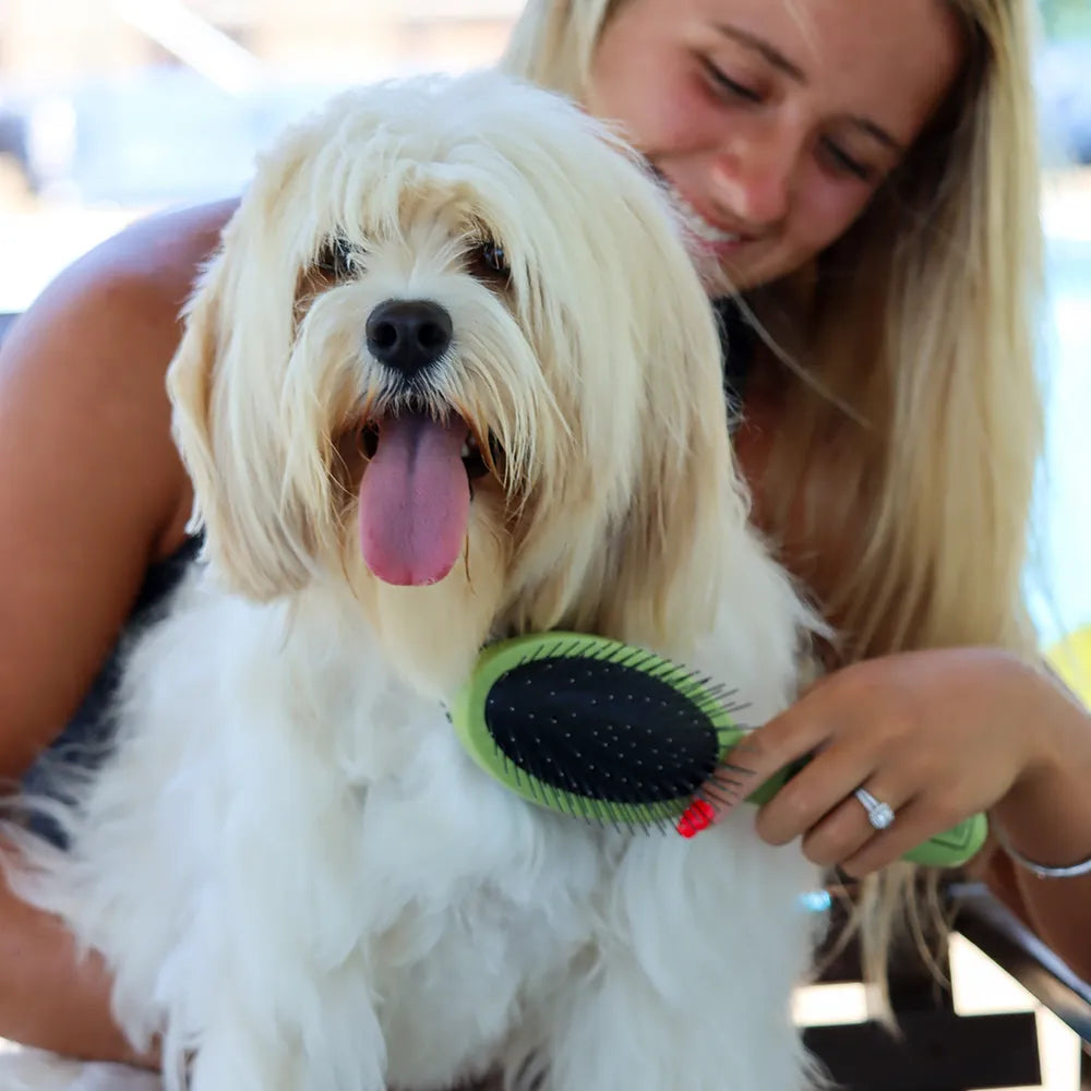 Safari Pin & Bristle Combo Dog Brush