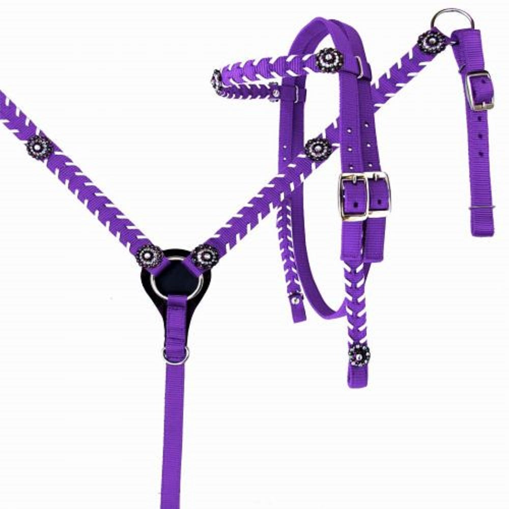 Horse Nylon Breast Collar & Bridle Headstall Set