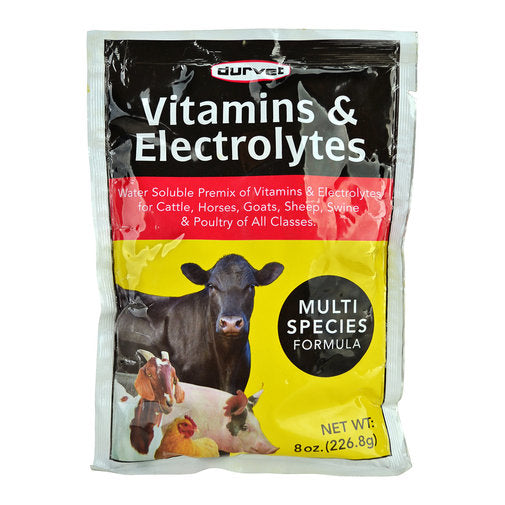 Vitamins & Electrolytes Multispecies Supplement