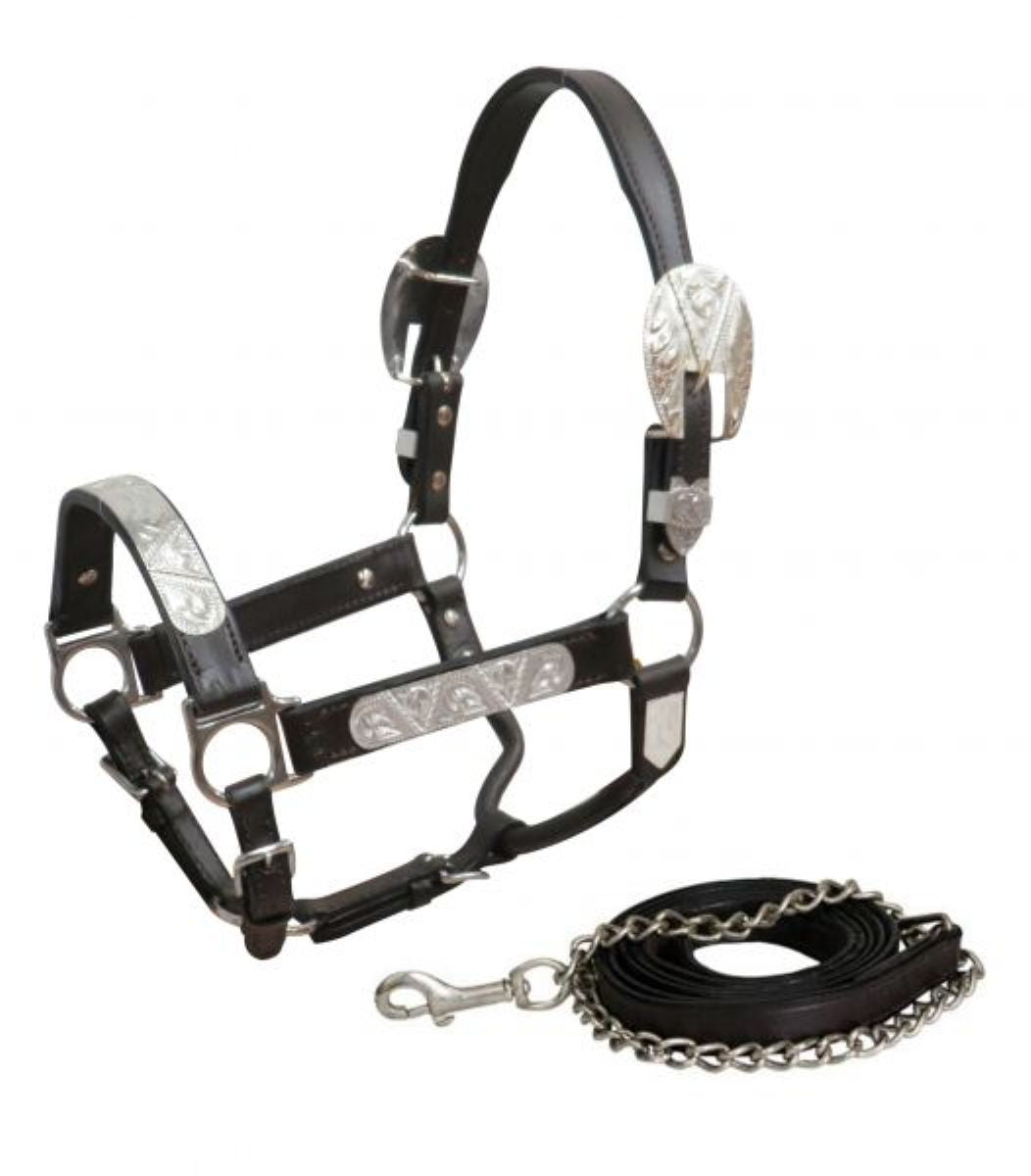Yearling Show Halter - Dark Leather