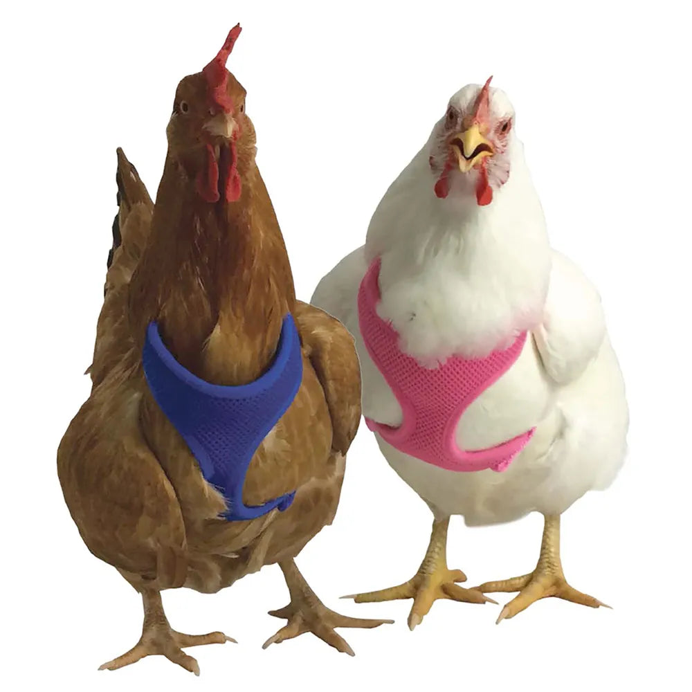 Valhoma Chicken Walking Harness Color Choice