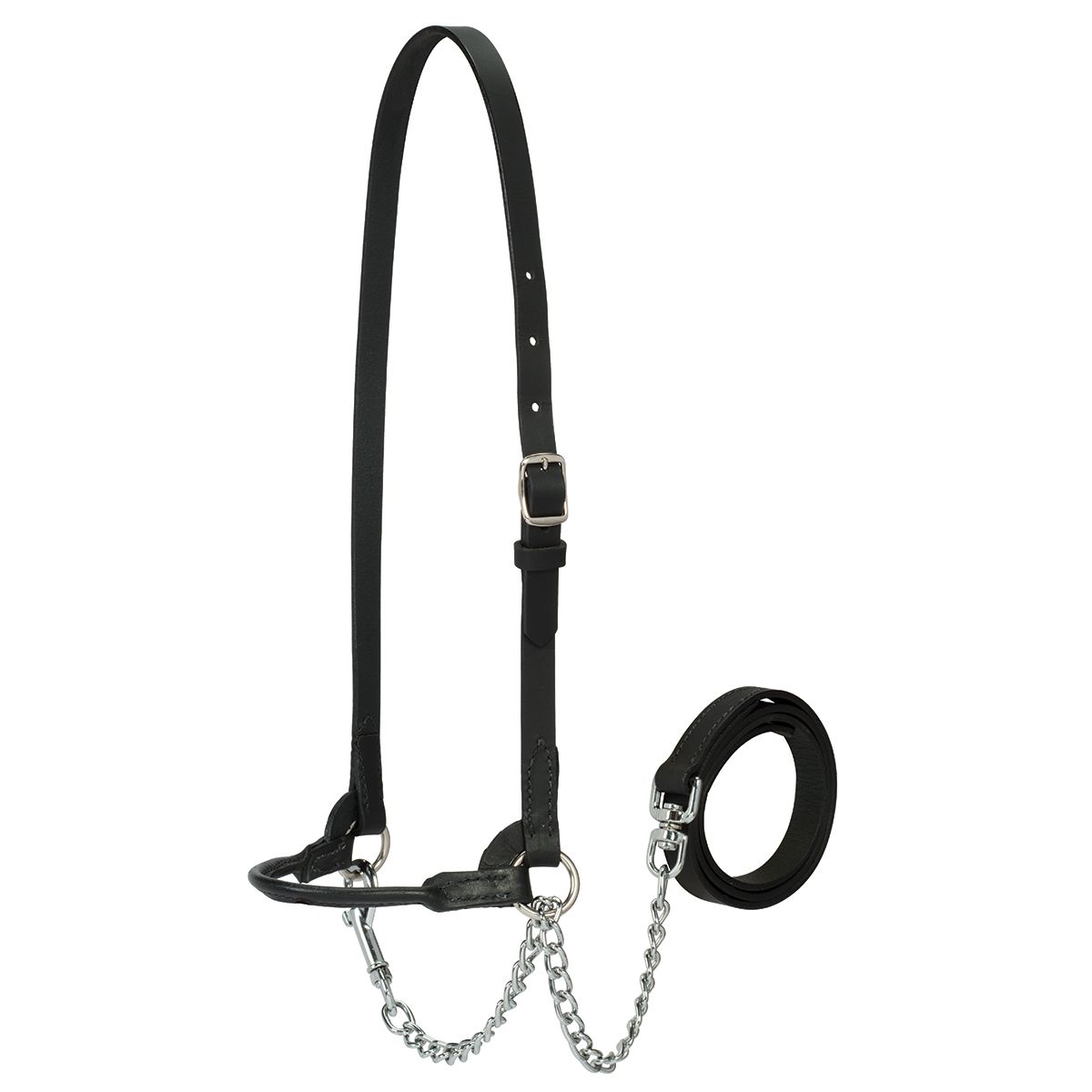Leather Halter for Show Cattle