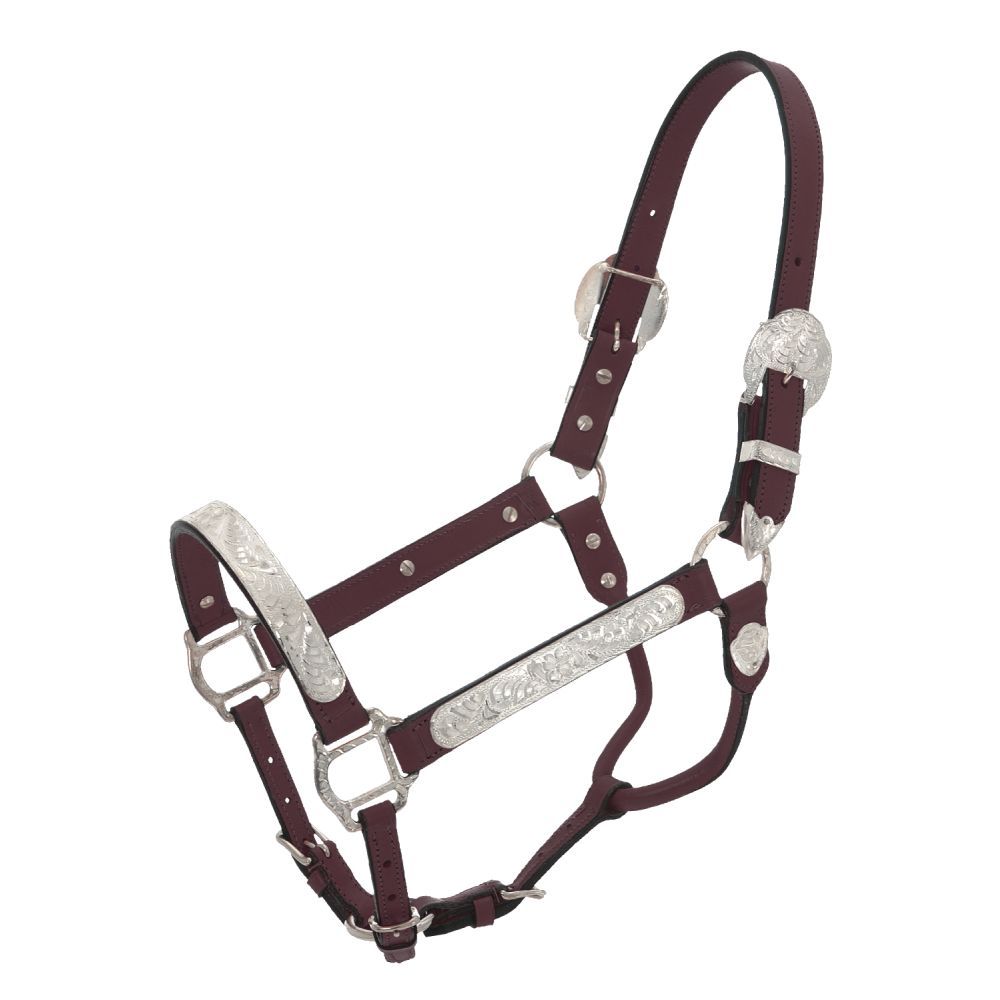 Royal King Silver Show Leather Halter Horse Size