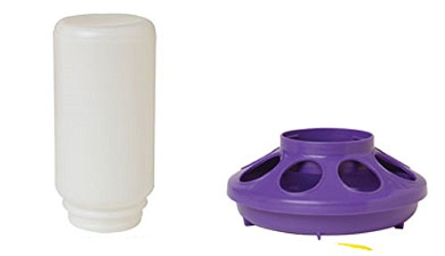 Plastic Chicken Feeder and Base -Purple 291-808