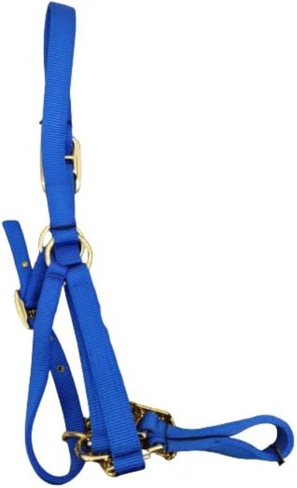 Valhoma Nylon Calf Size Cow Control Halter