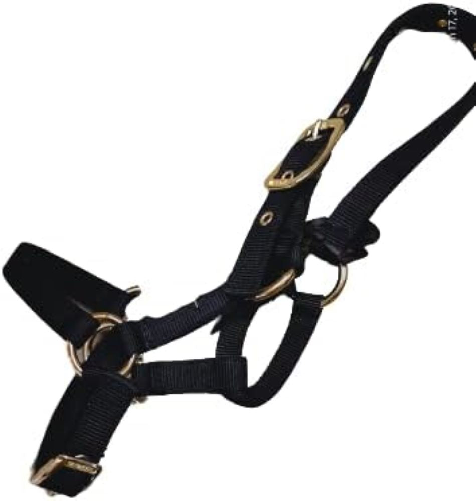 Valhoma Nylon Llama Halter, Color choice