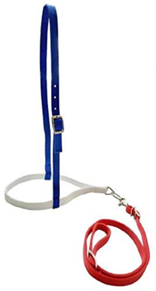Red White And Blue Nylon Noseband And Tiedown