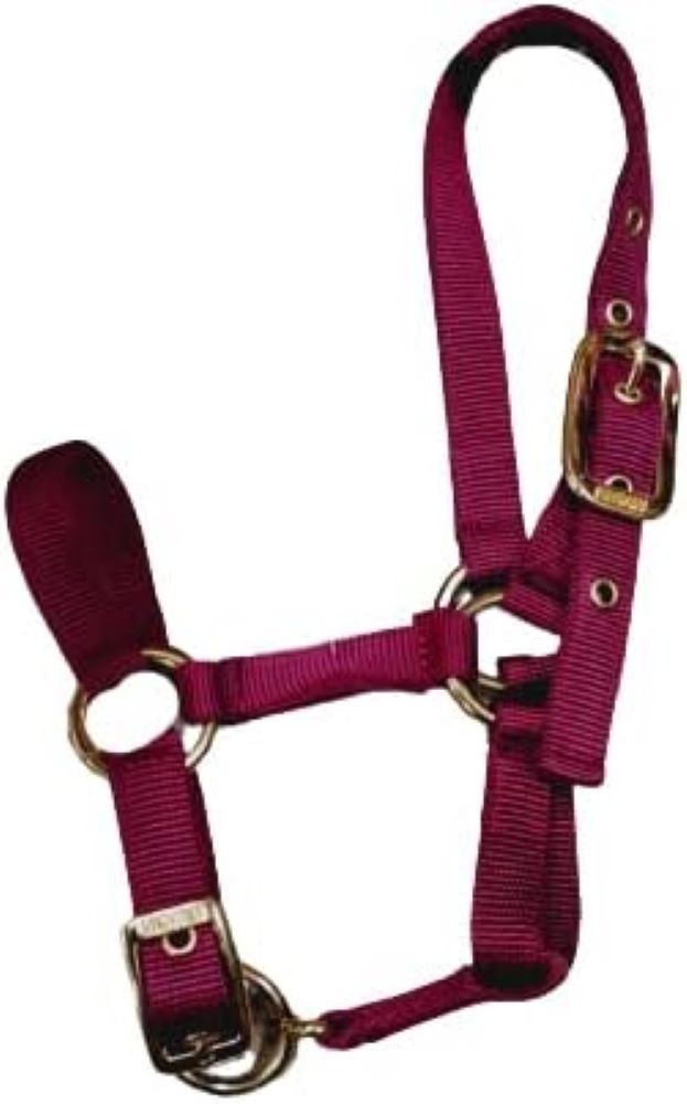Valhoma Nylon Llama Halter, Color choice