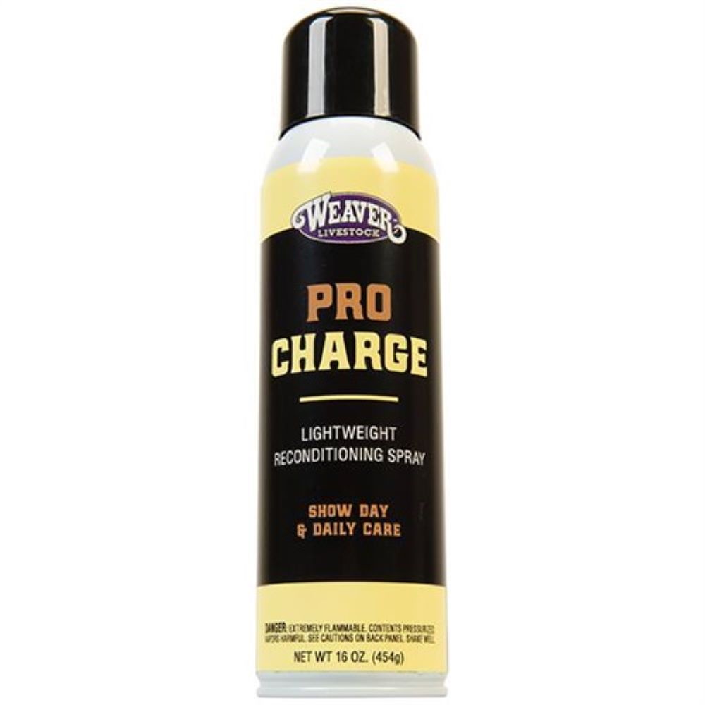 ProCharge, Aerosol, 16 oz.