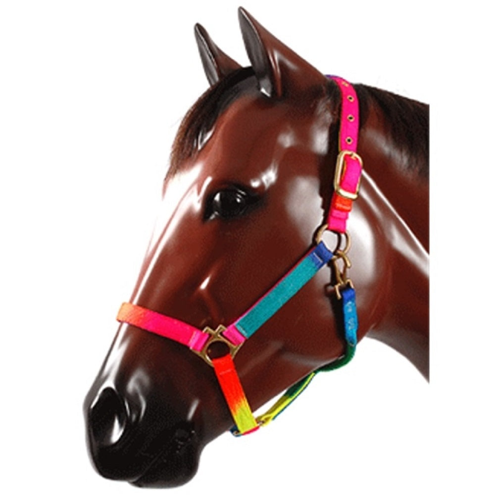Valhoma Rainbow Halter