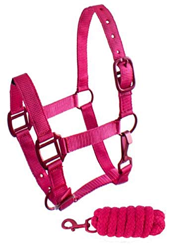 Showman Pony Triple Ply Nylon Halter & Lead Rope