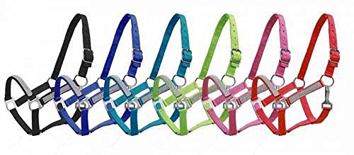 Showman Pony Bling Nylon Halter