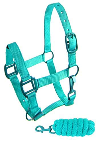 Showman Triple Ply Nylon Halter & Lead Rope