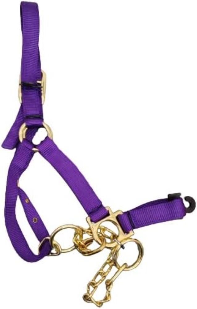 Valhoma Nylon Calf Size Cow Control Halter