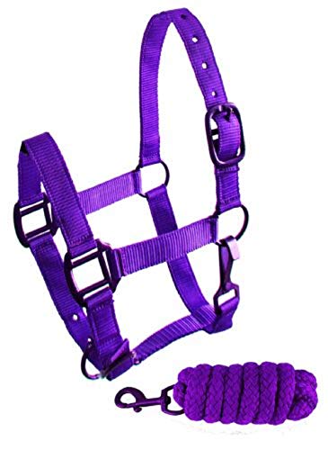Showman Triple Ply Nylon Halter & Lead Rope