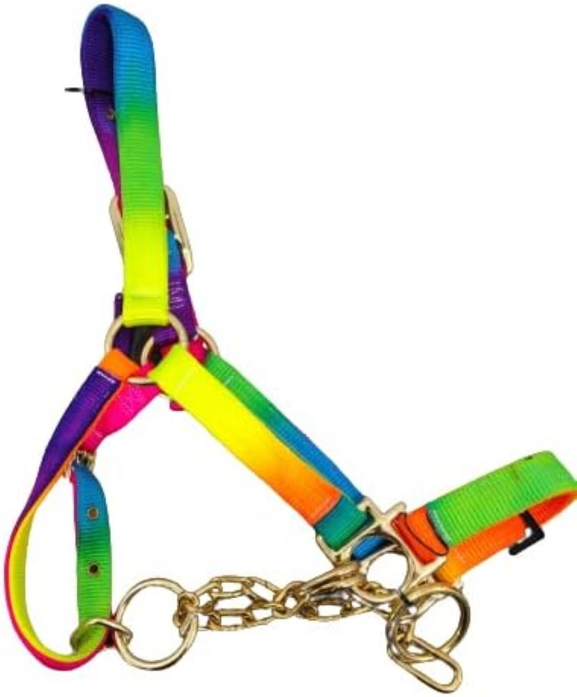 Valhoma Nylon Calf Size Cow Control Halter