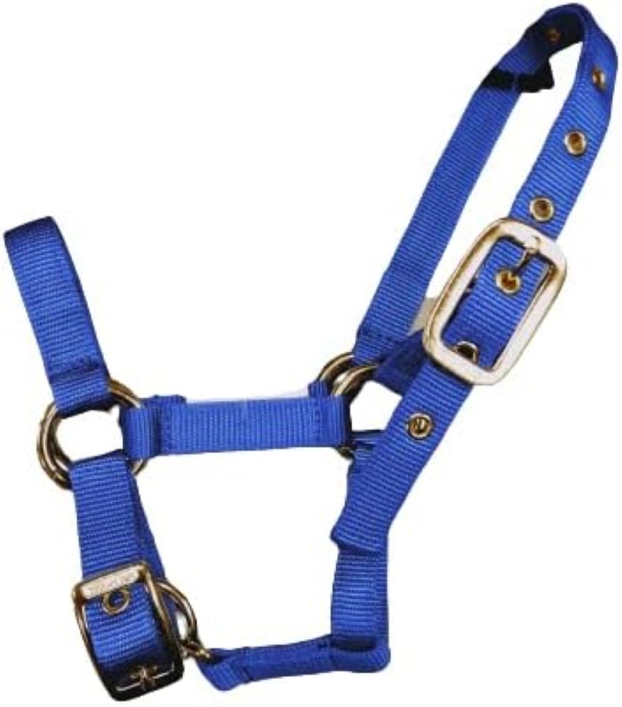 Valhoma Nylon Llama Halter, Color choice