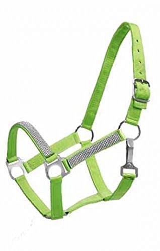 Showman Pony Bling Nylon Halter