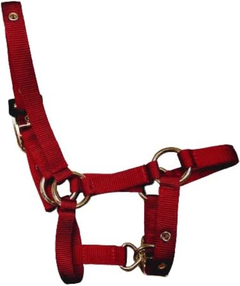 Valhoma Nylon Llama Halter, Color choice