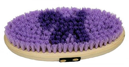 Showman Junior Body Brush w/ Pony logo, 5 Colors
