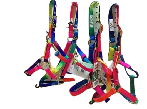 Valhoma Rainbow Halter 6 sizes