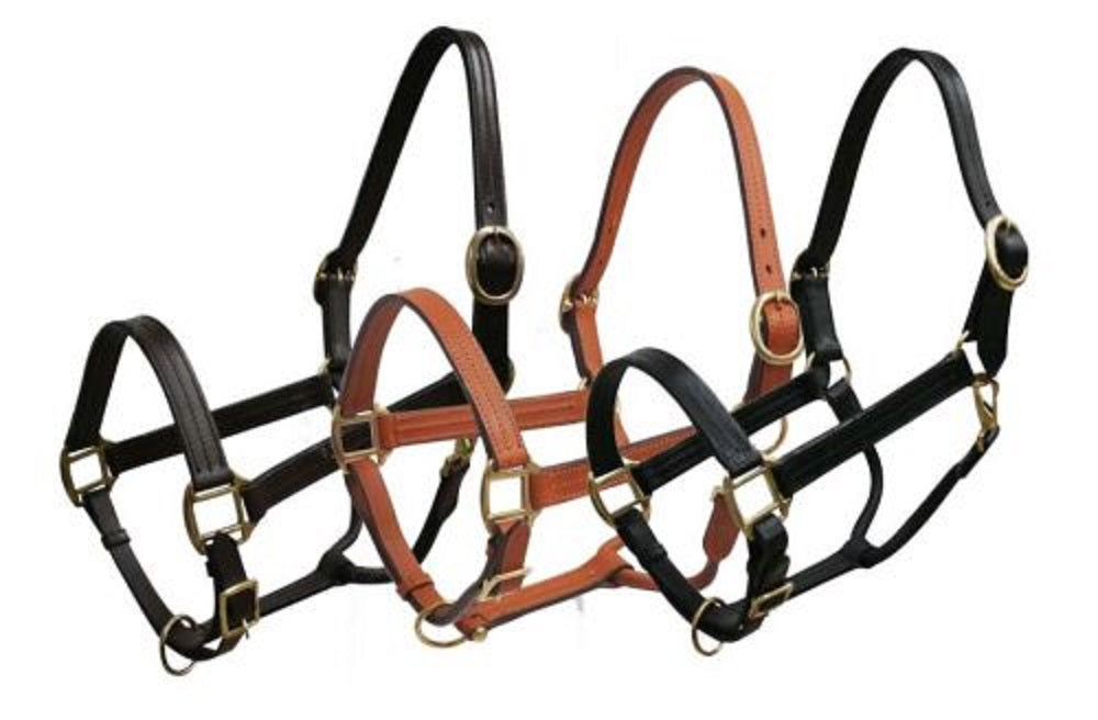 Horse size Leather Halter, Color choice