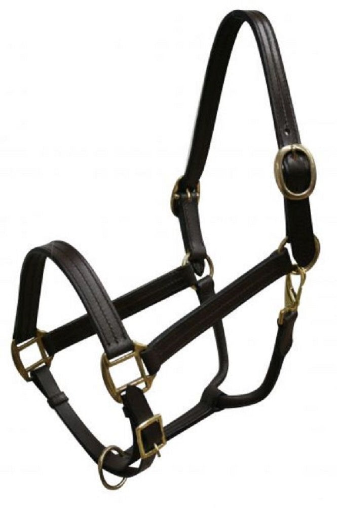 Horse size Leather Halter, Color choice