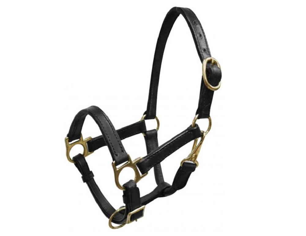 Weanling Horse Black or Dark Oil Leather Halter