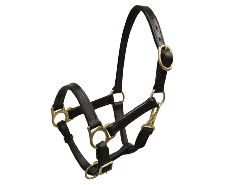 Weanling Horse Black or Dark Oil Leather Halter