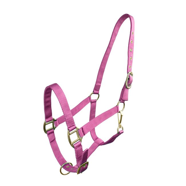 Horse Size Triple Ply Nylon Halter with Brass Hardware