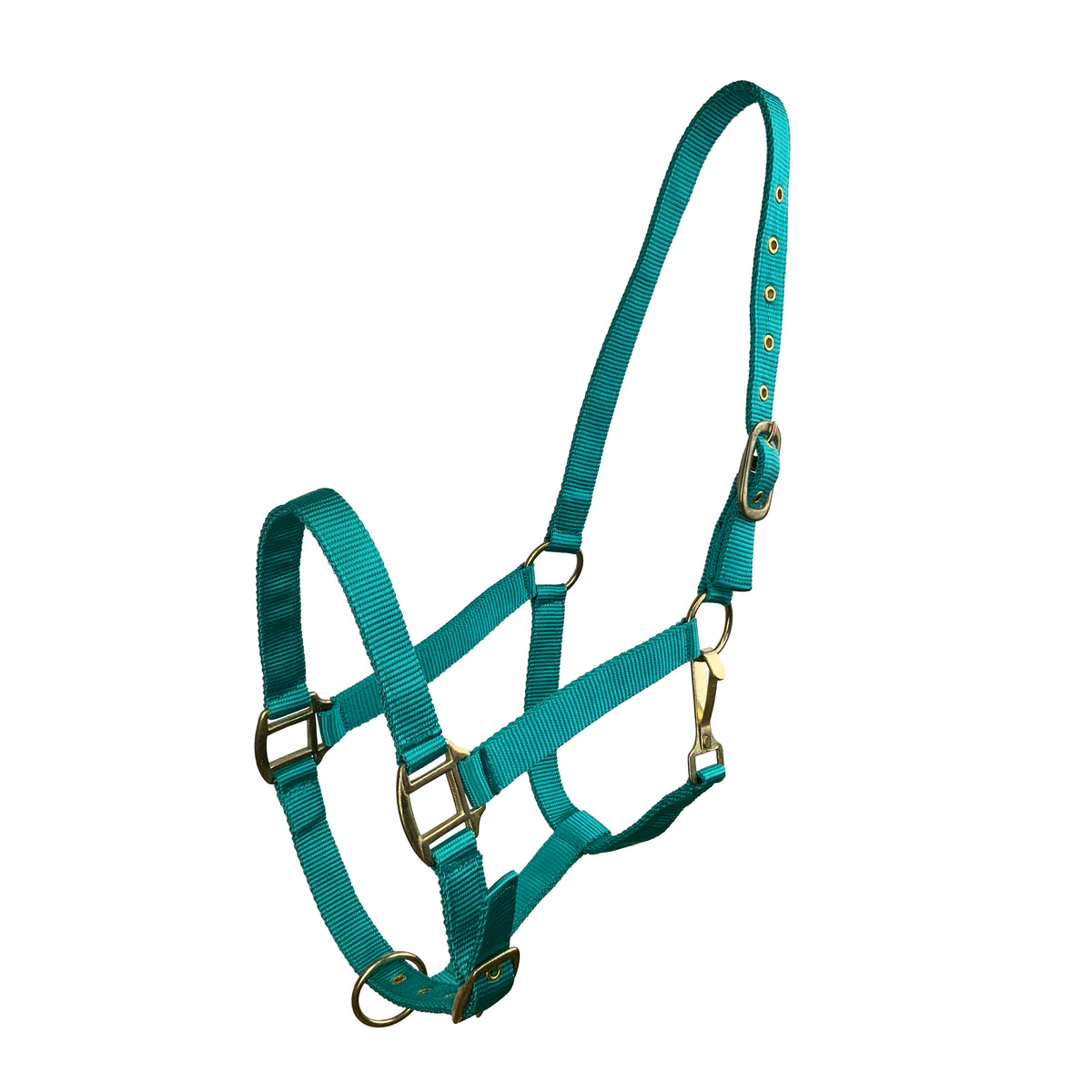 Horse Size Triple Ply Nylon Halter with Brass Hardware