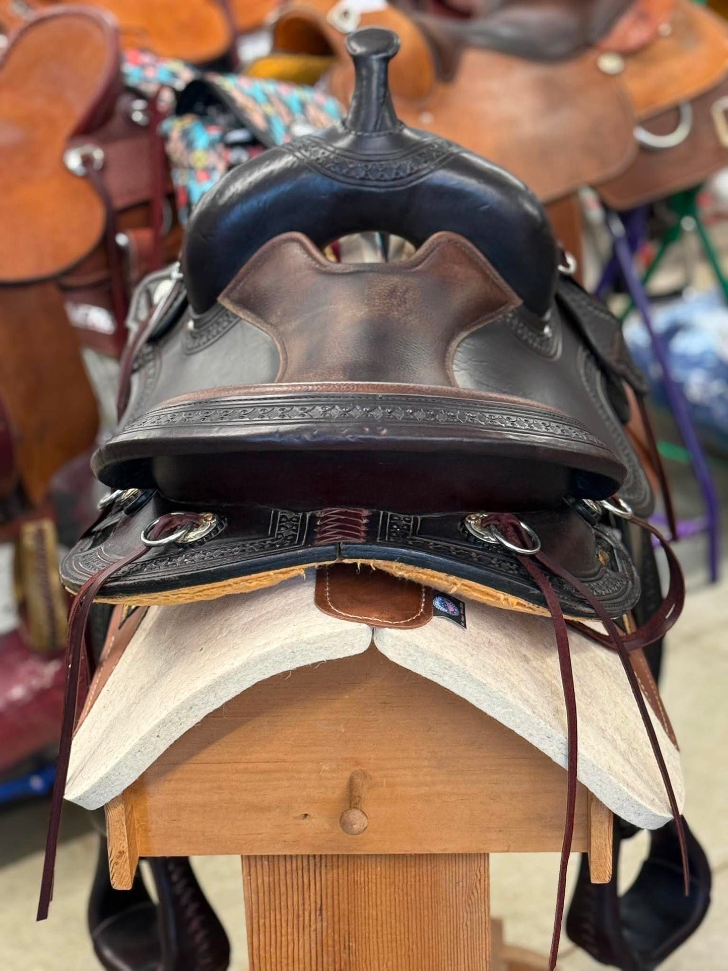 Gently Used 16" Circle Y Trail Saddle