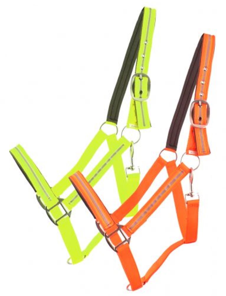 Showman Full Horse Size Reflective Neoprene Lined Halter