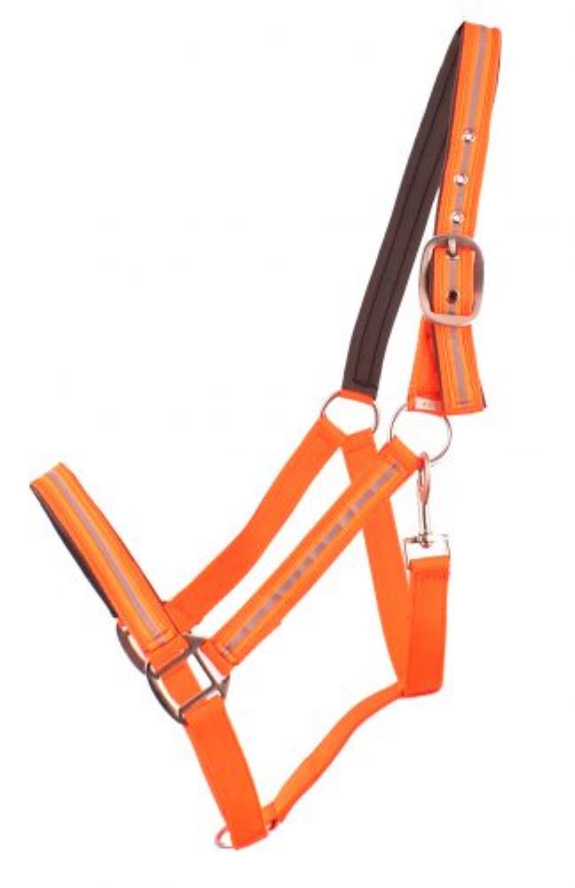 Showman Full Horse Size Reflective Neoprene Lined Halter