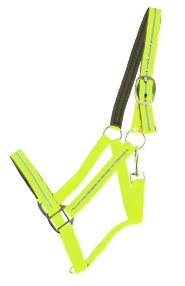 Showman Full Horse Size Reflective Neoprene Lined Halter