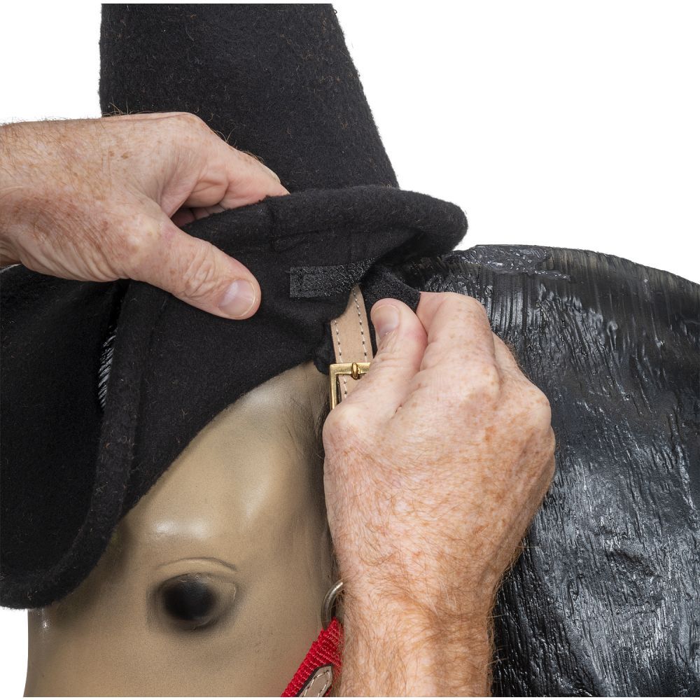 Mini Horse Halloween Witch Hat