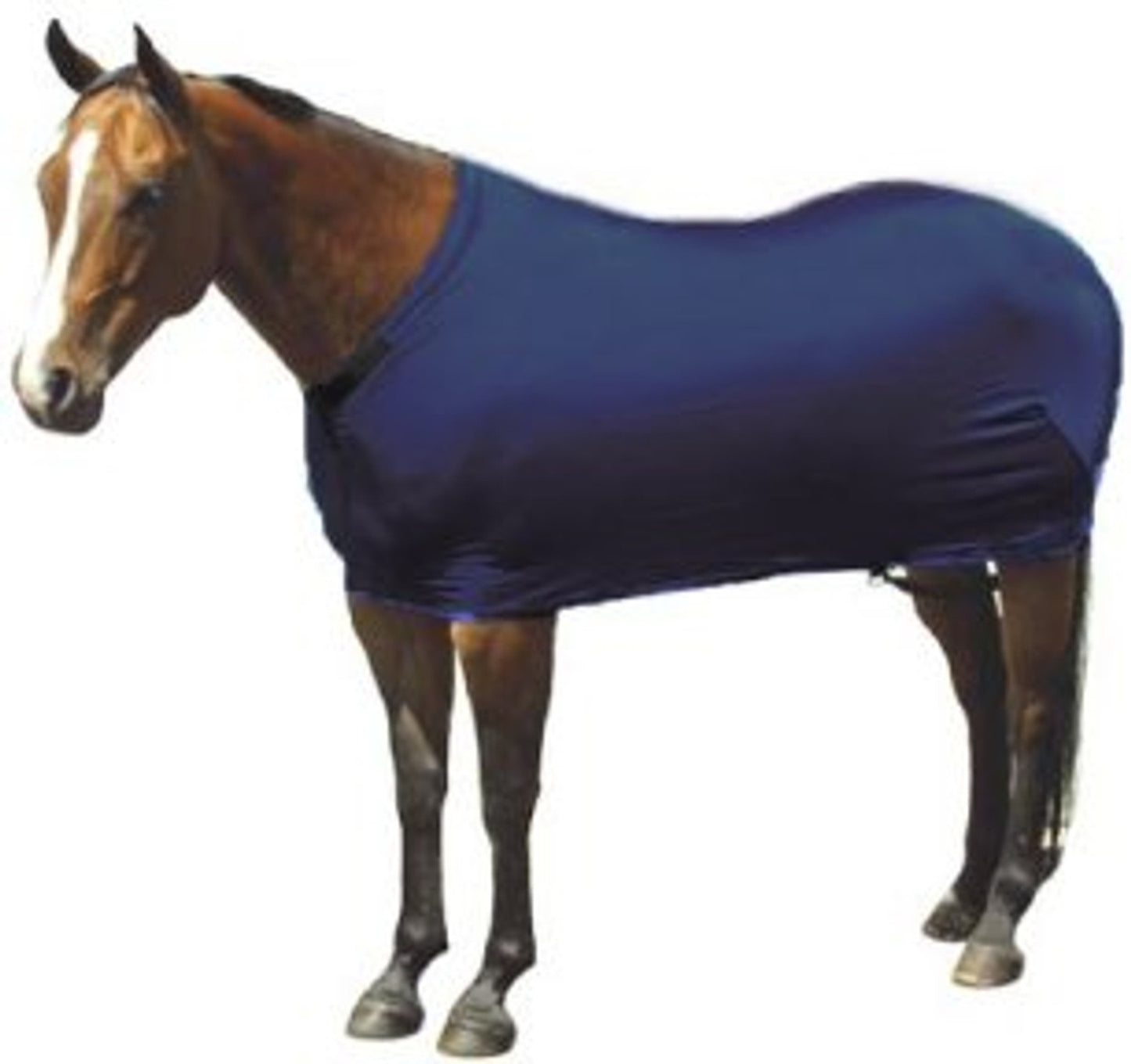 Sleazy Sleepwear Small Mini Horse Sheet, 13 Colors
