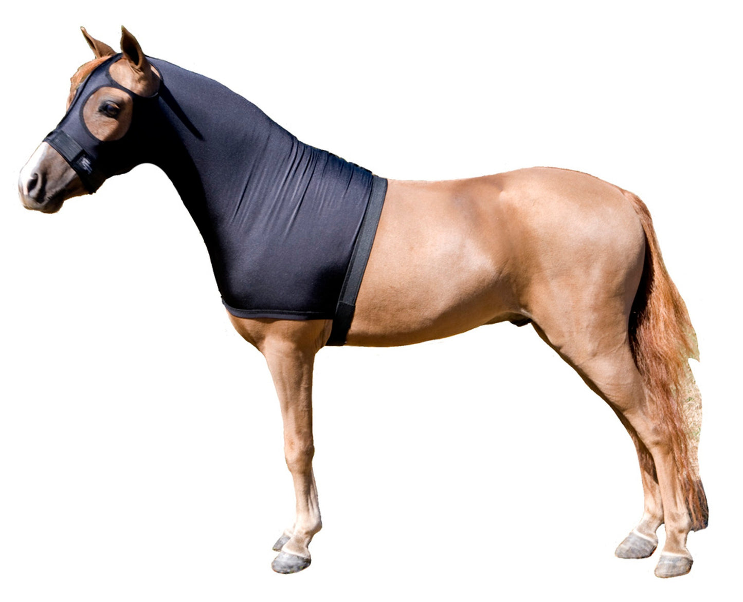 Sleazy Sleepwear XL Horse Hood, Color choice