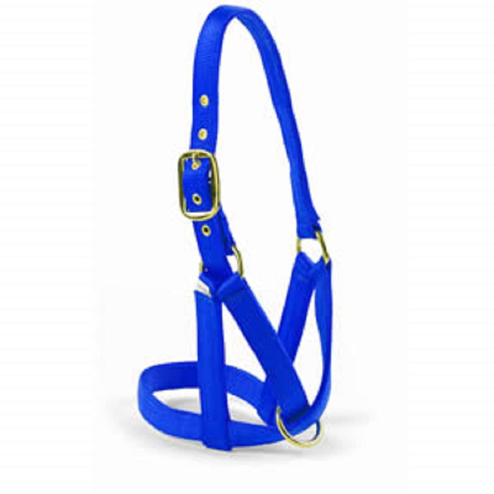 Valhoma Cow Yearling Utility Turn Out Halter