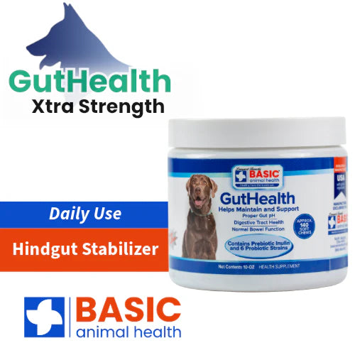 GutHealth Xtra Strength for Dogs - 10 oz