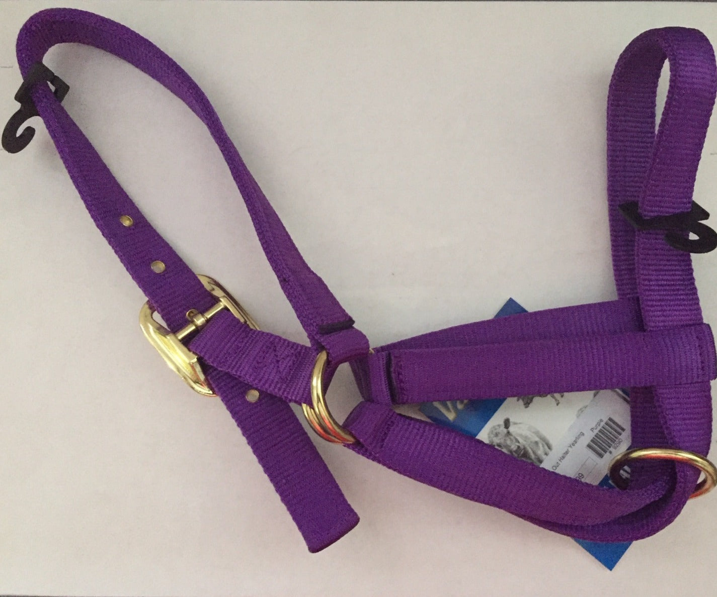 Valhoma Cow Yearling Utility Turn Out Halter