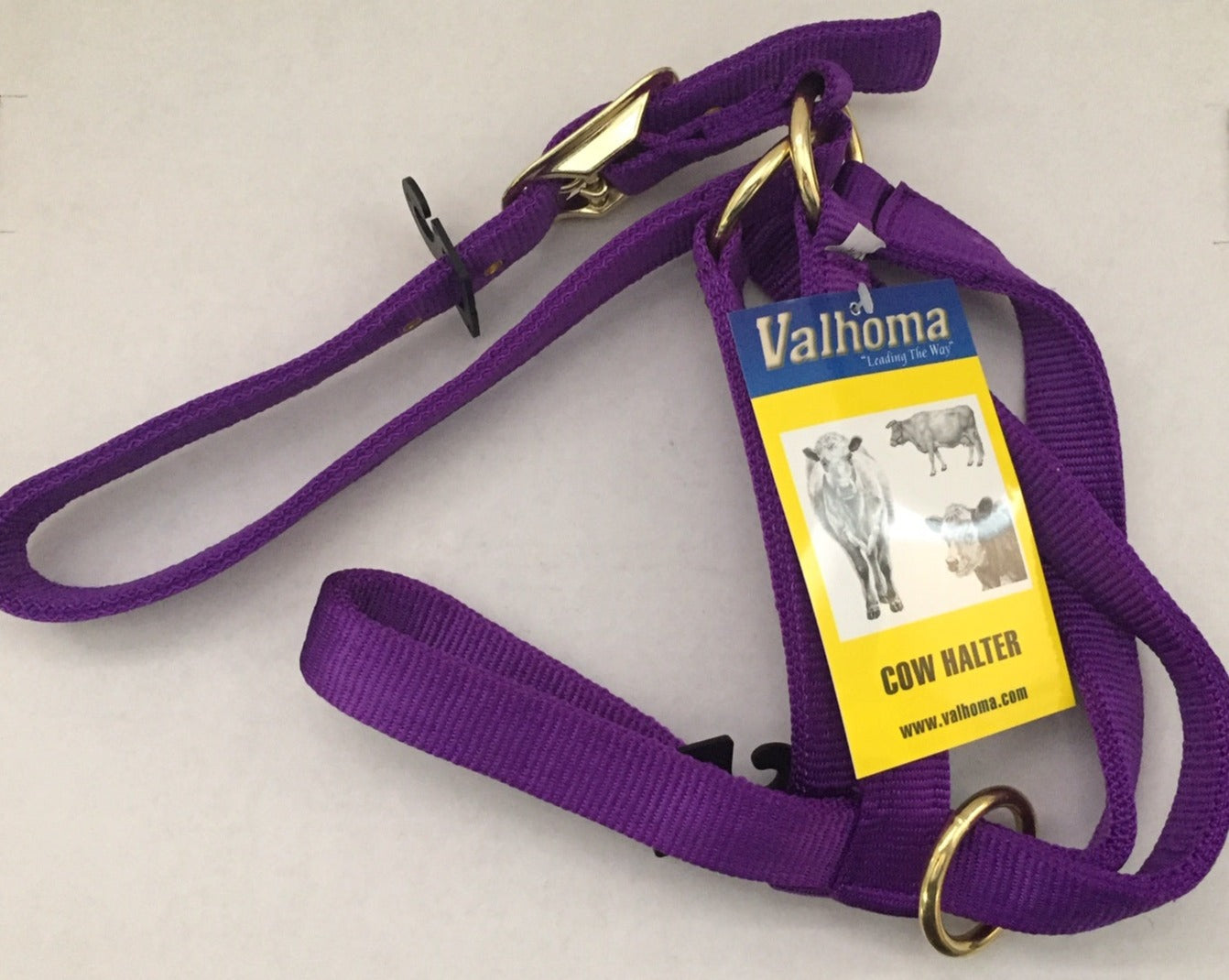 Valhoma 1" Nylon COW UTILITY TURN OUT HALTER w/ Floating ring