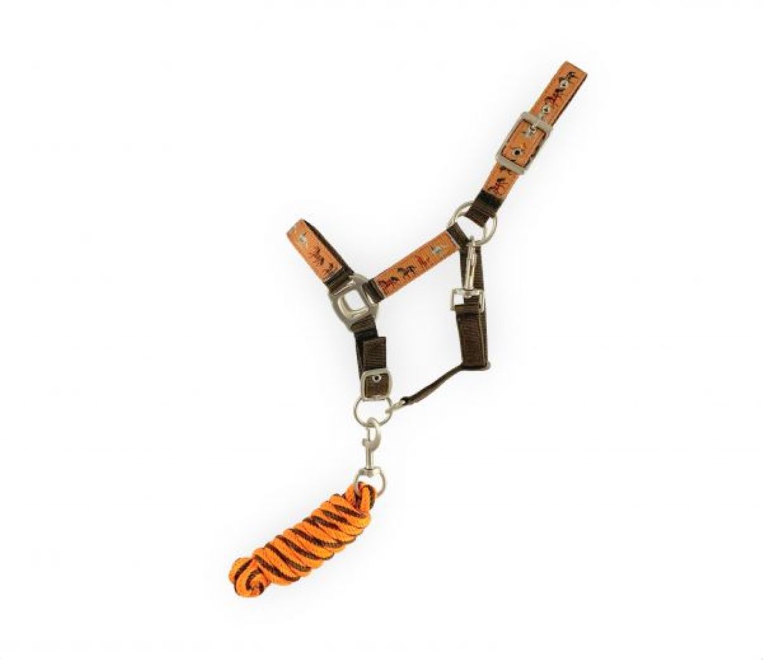 Pony Brown Nylon Halter Orange Horse Overlay & Lead Rope