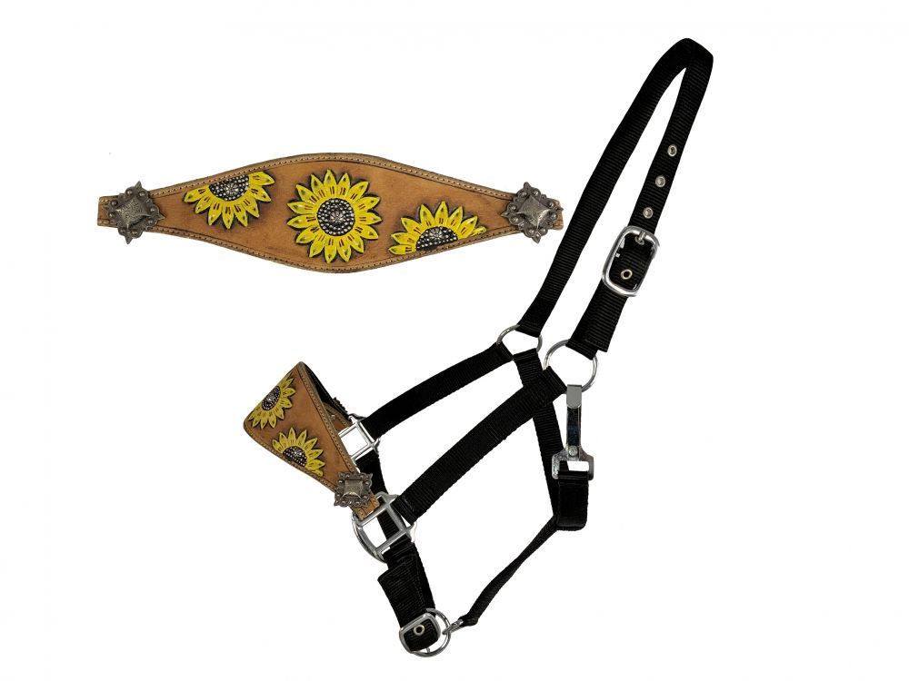 Showman Leather Bronc Halter w/ Sunflower design