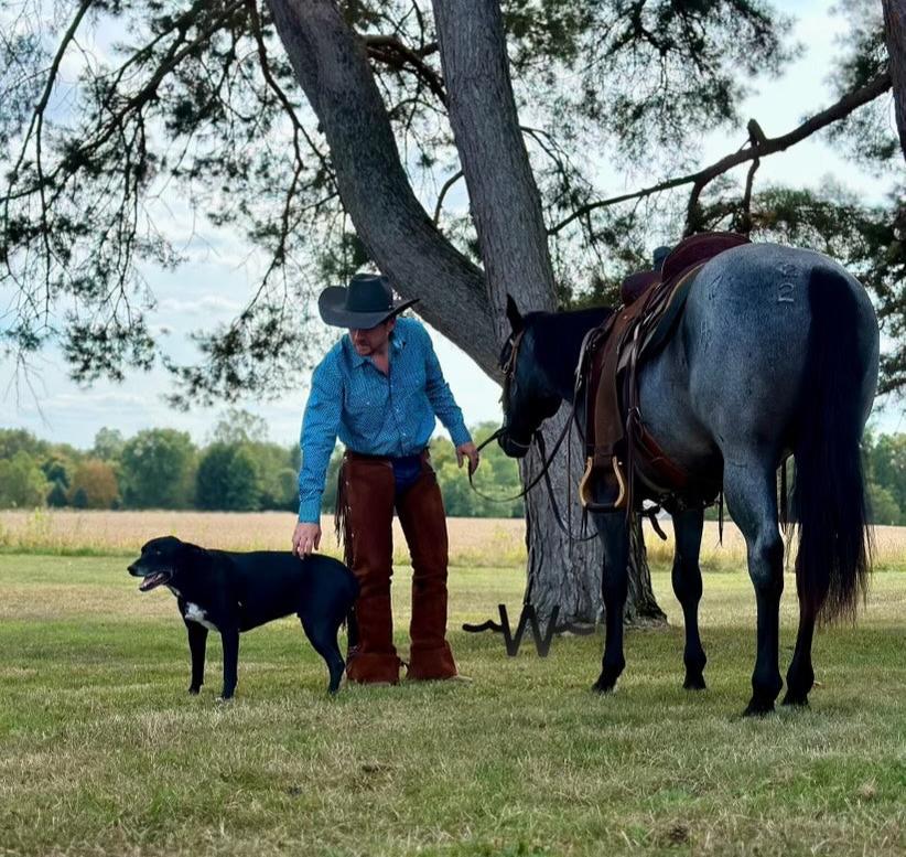 Horse Tack and Farm Supplies in London, OH