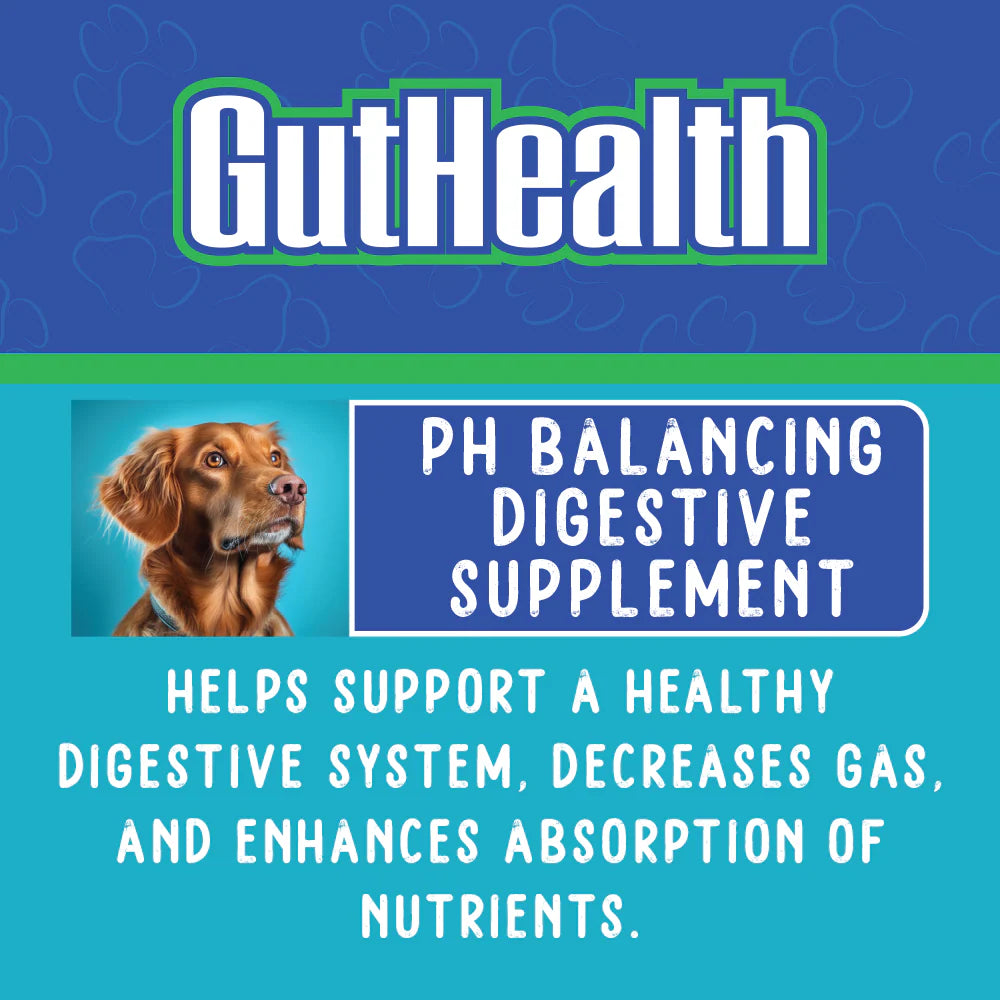 GutHealth Xtra Strength for Dogs - 10 oz