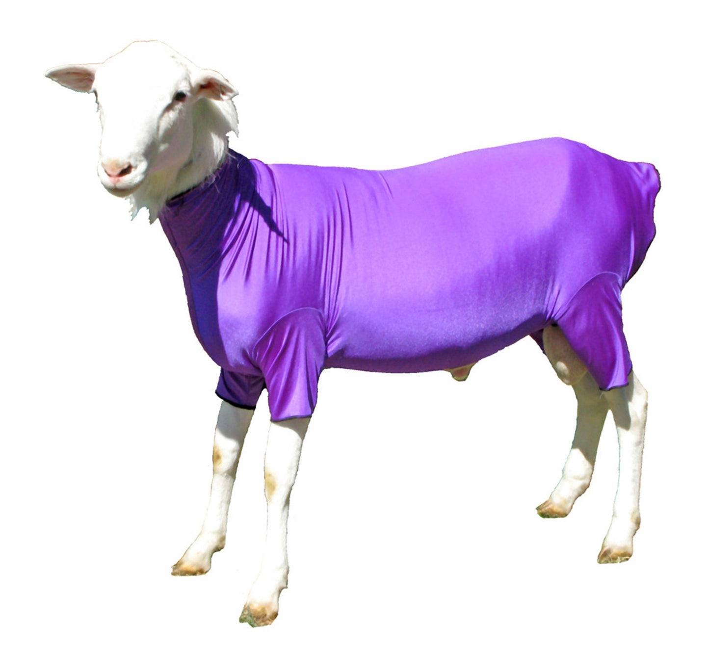Sleazy Sleepwear Lambajams XL Lamb Body Cover, 13 Colors
